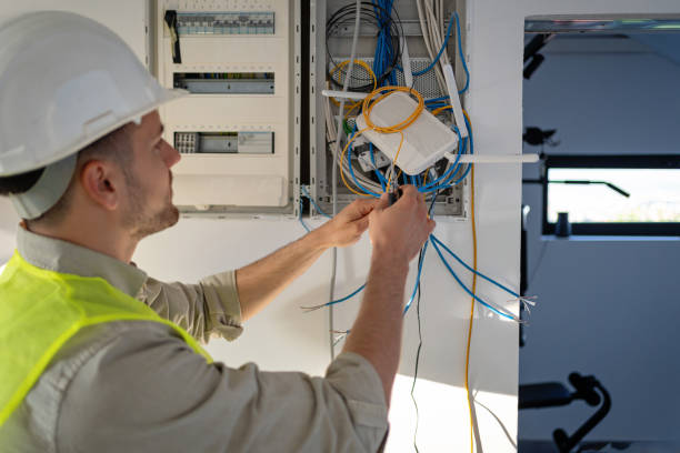 Best Electric Panel Repair  in Lewistown, IL